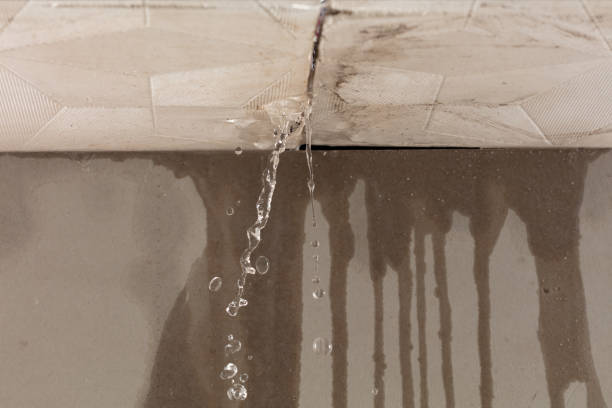 Professional Water Extraction technician working in Montrose, MN